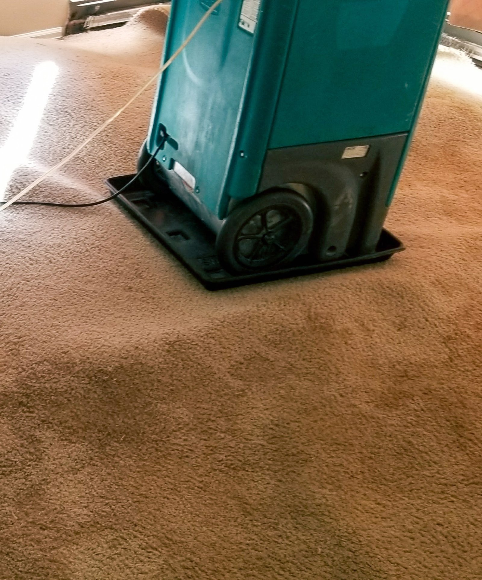 Water Damage Project