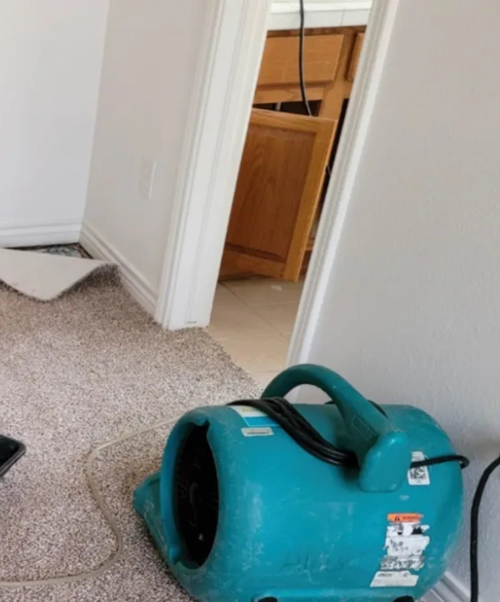 Biohazard Cleanup Project