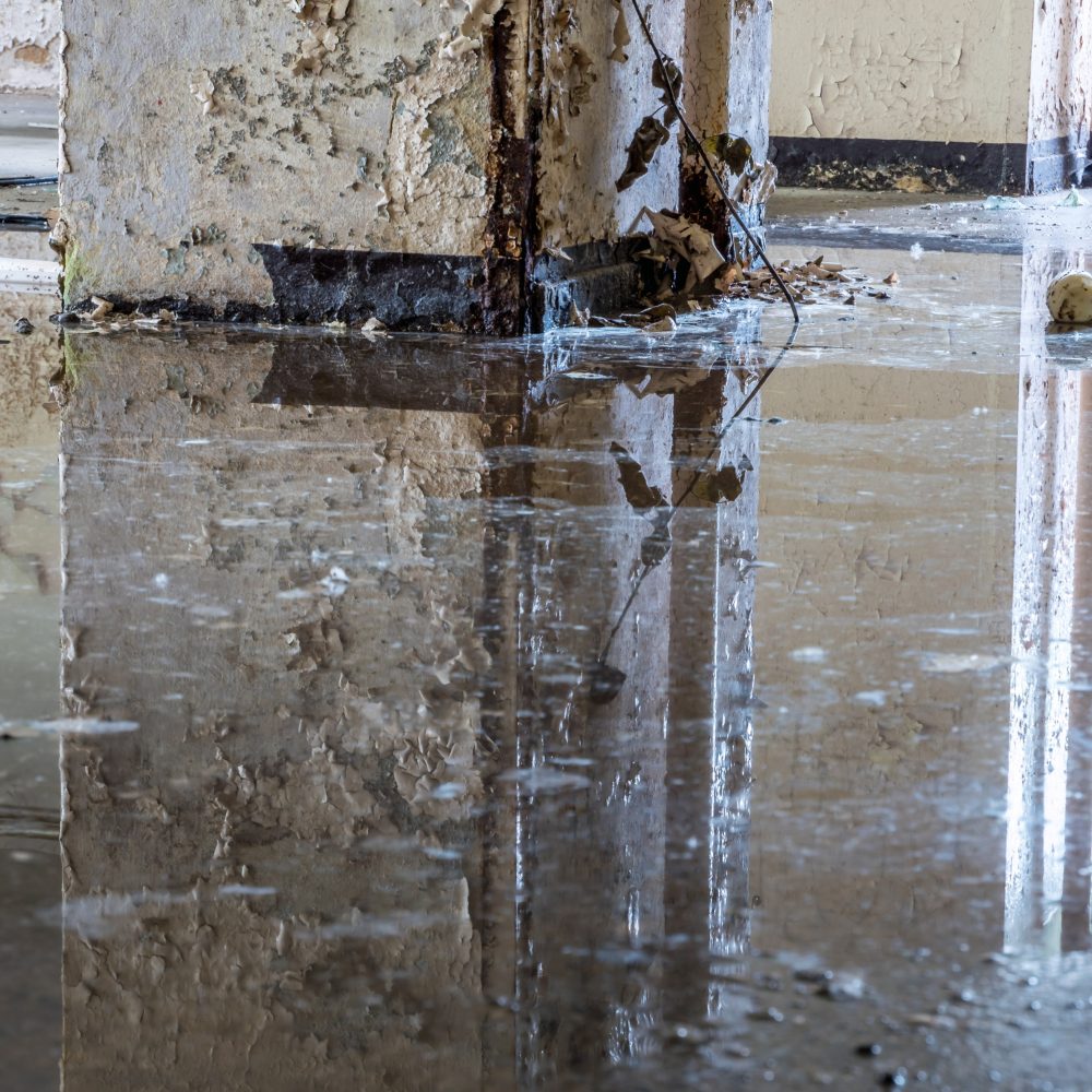 Image 3-Water Damage Restoration